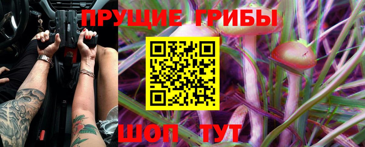 Галлюциногенные грибы мицелий Александров