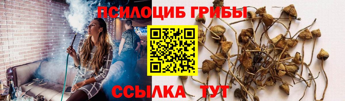 Галлюциногенные грибы Magic Shrooms  Вход с VPN  Александров 